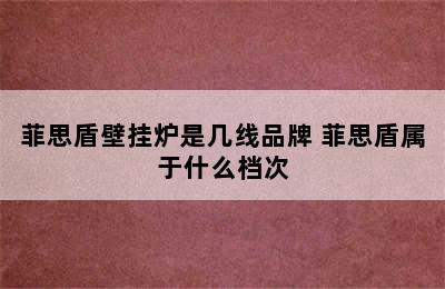 菲思盾壁挂炉是几线品牌 菲思盾属于什么档次